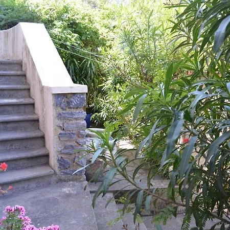 3 Pieces 5 Couchages Sur Bn000-017 Apartment Banyuls-sur-Mer